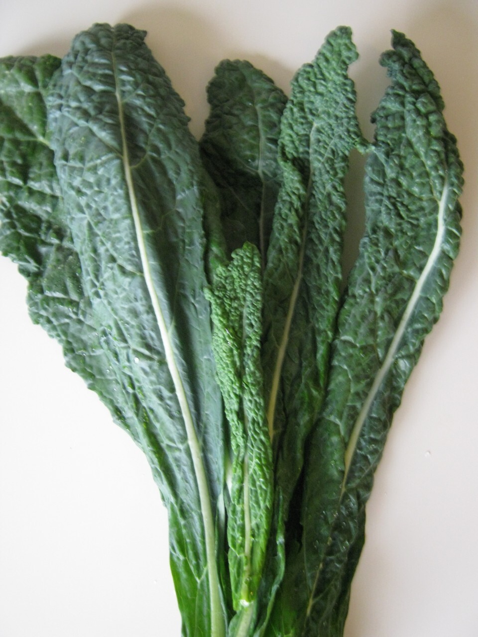 100 Lacinato or Dinosaur Kale Seeds Heirloom NON-GMO Fresh Seeds for Your Garden