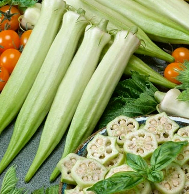 Blondy Okra Seed 30+ SEEDS NON-GMO BUY 4 ITEMS GET FREE SHIPPING