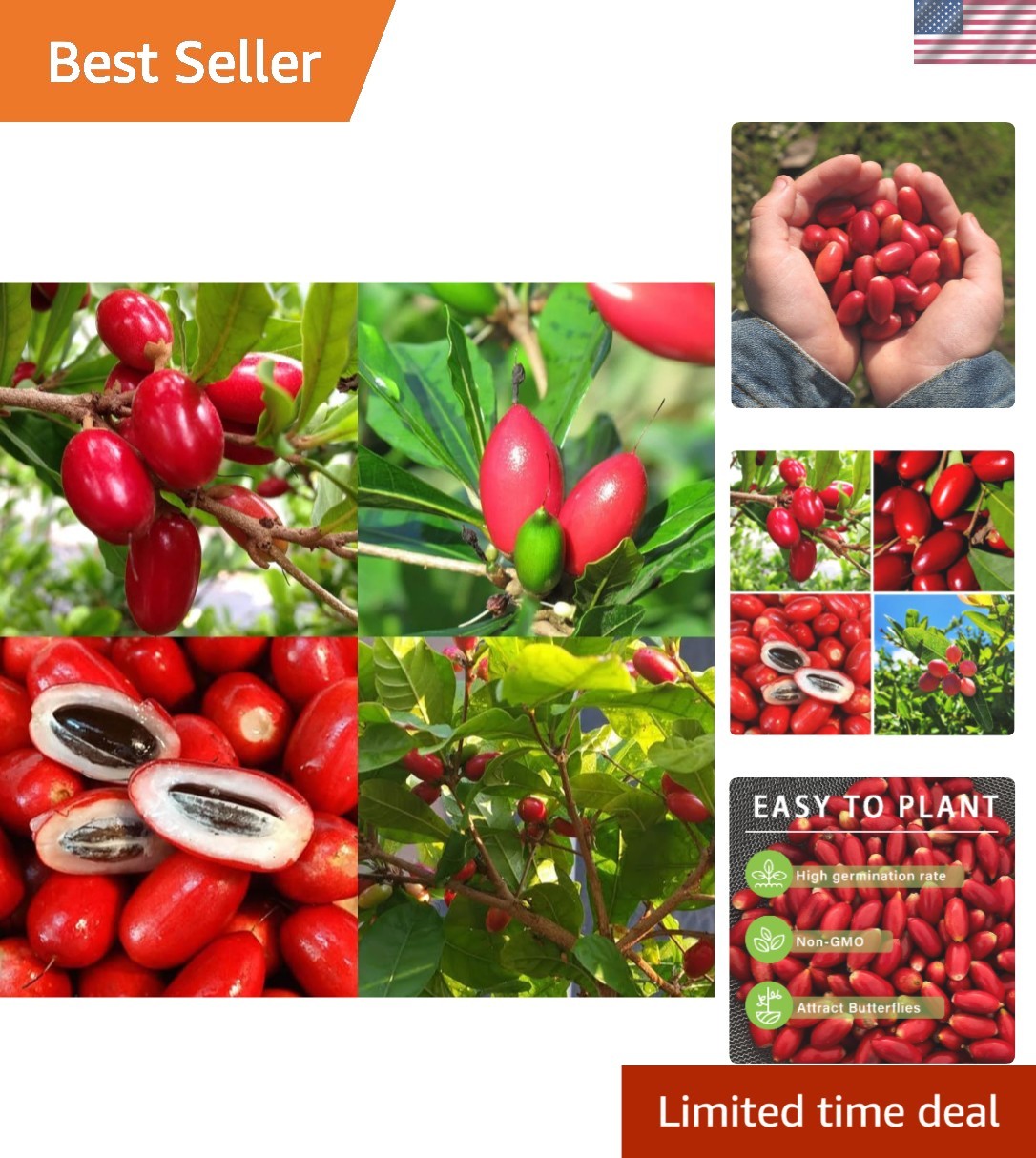 Unlock Sweet Flavors with 35+ Miracle Berry Seeds – Perfect for Outdoor Planting