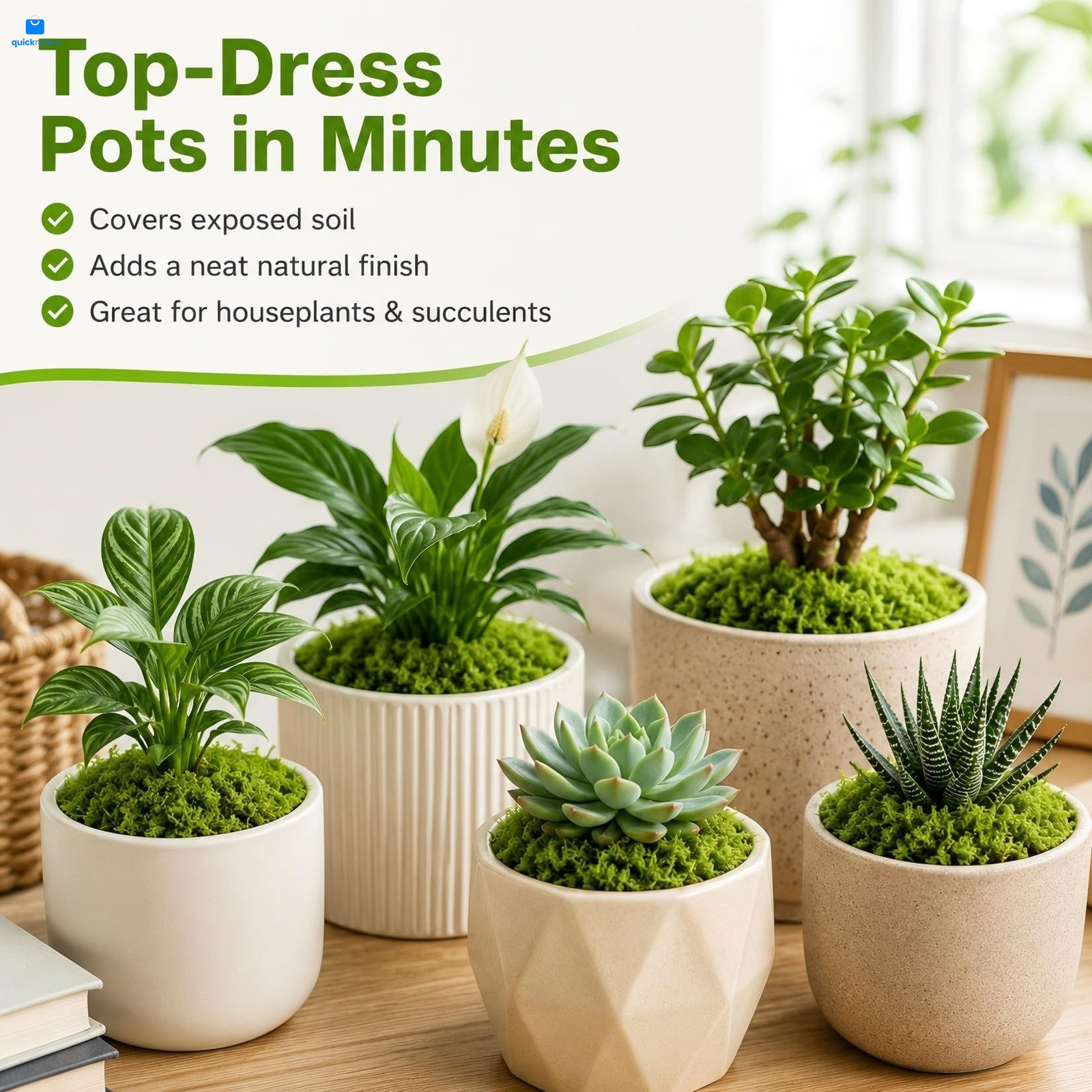 Fake Green Moss for Potted Plants – MAQIHAN Artificial Crafts…