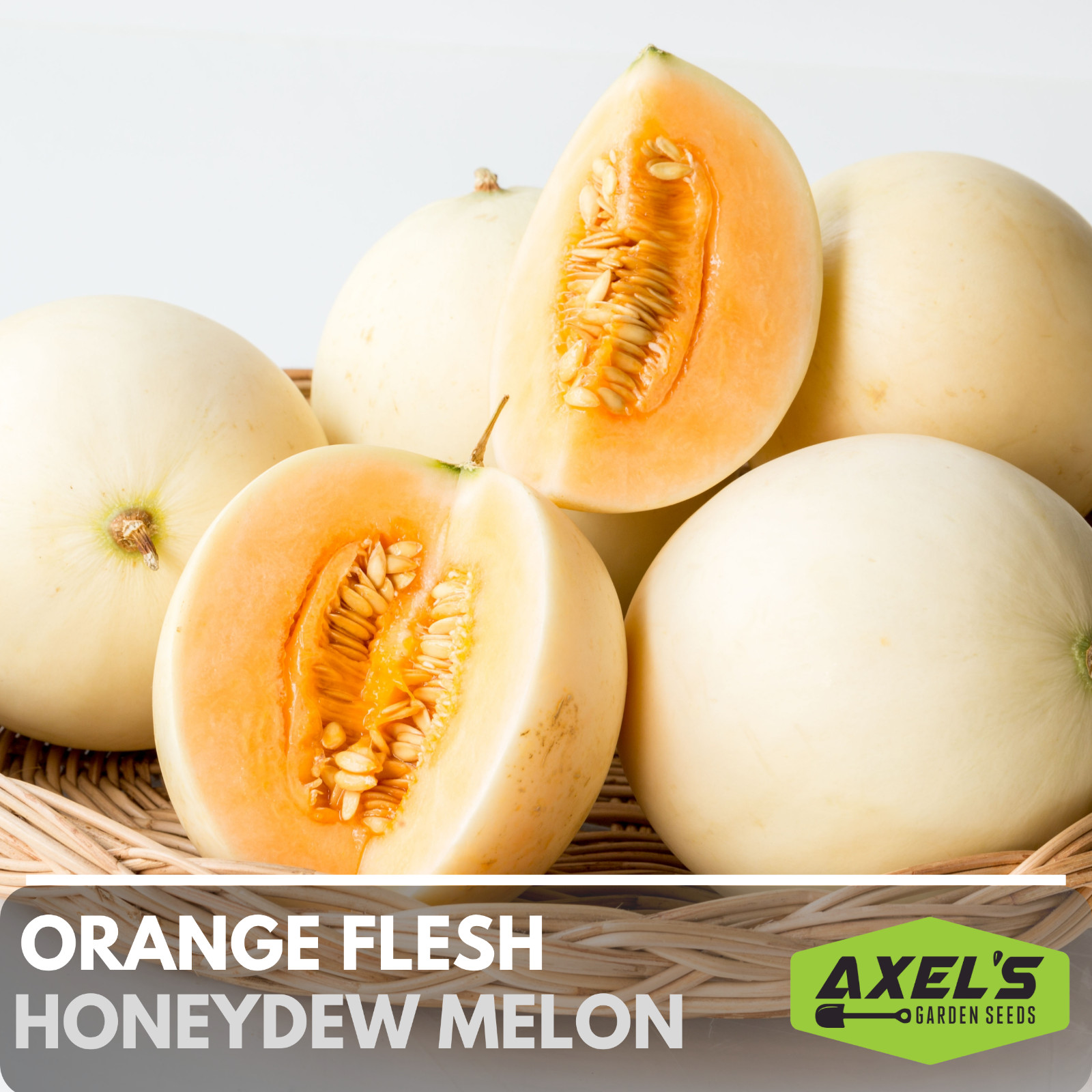 Honeydew Melon Seeds – Heirloom Non-GMO, Free Shipping, Orange Flesh Variety