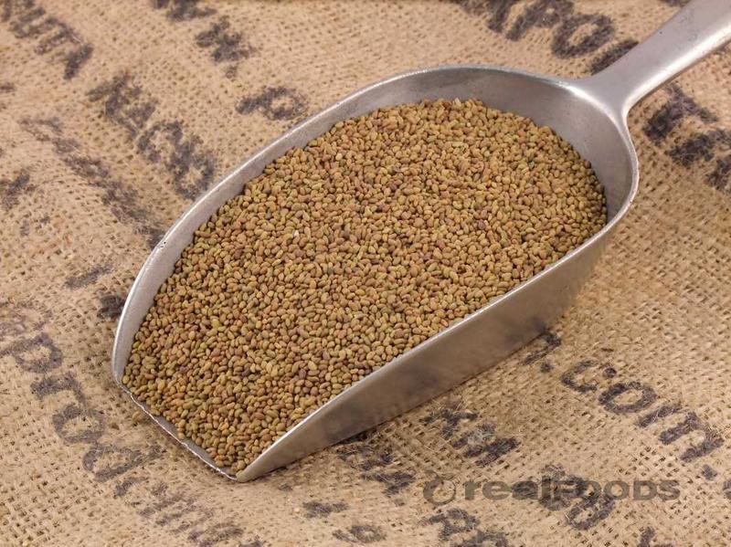Organic Alfalfa Sprouting Seeds Certified (NON-GMO) – 1 lb.