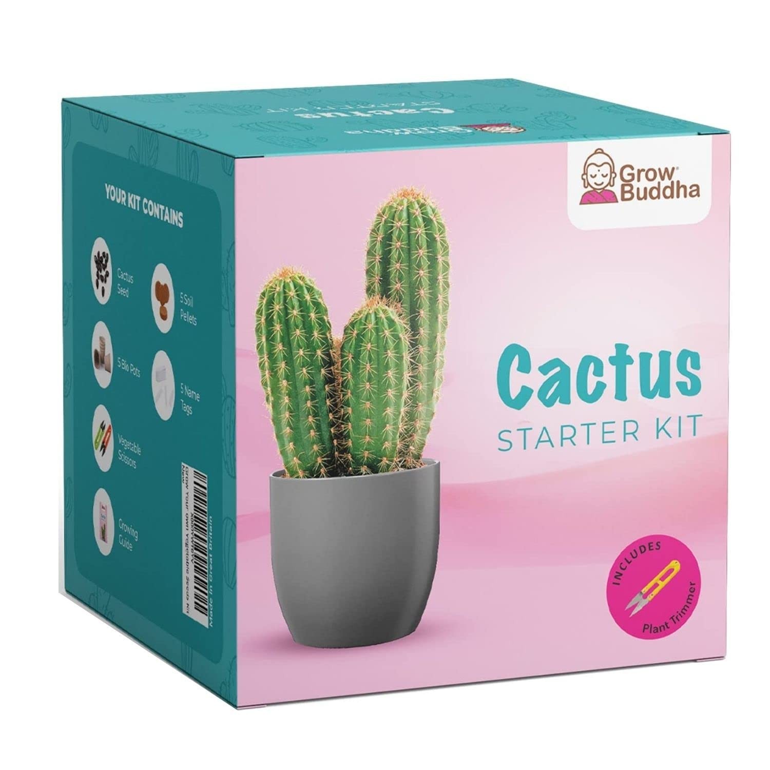 Cactus Kit Grow Your Own Seeds Starter | Plants, Cacuts