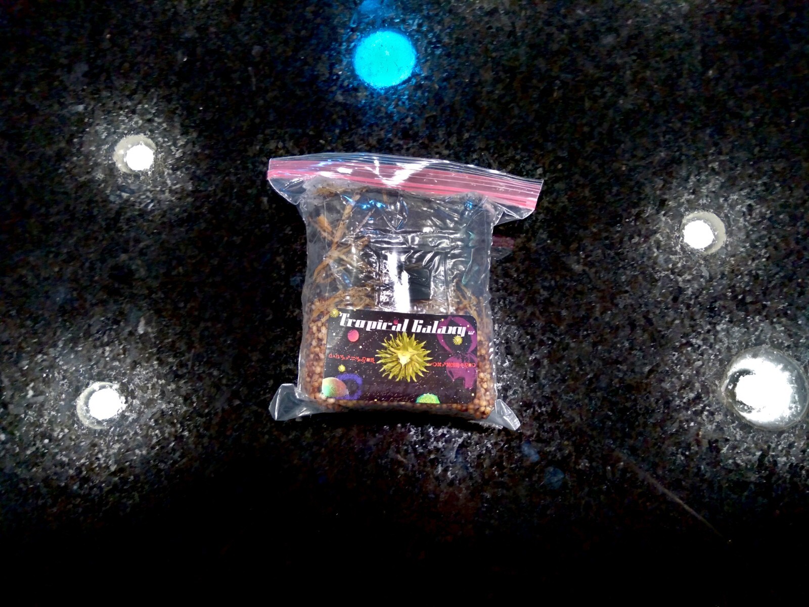 All-in-One Mushroom Grow Bag