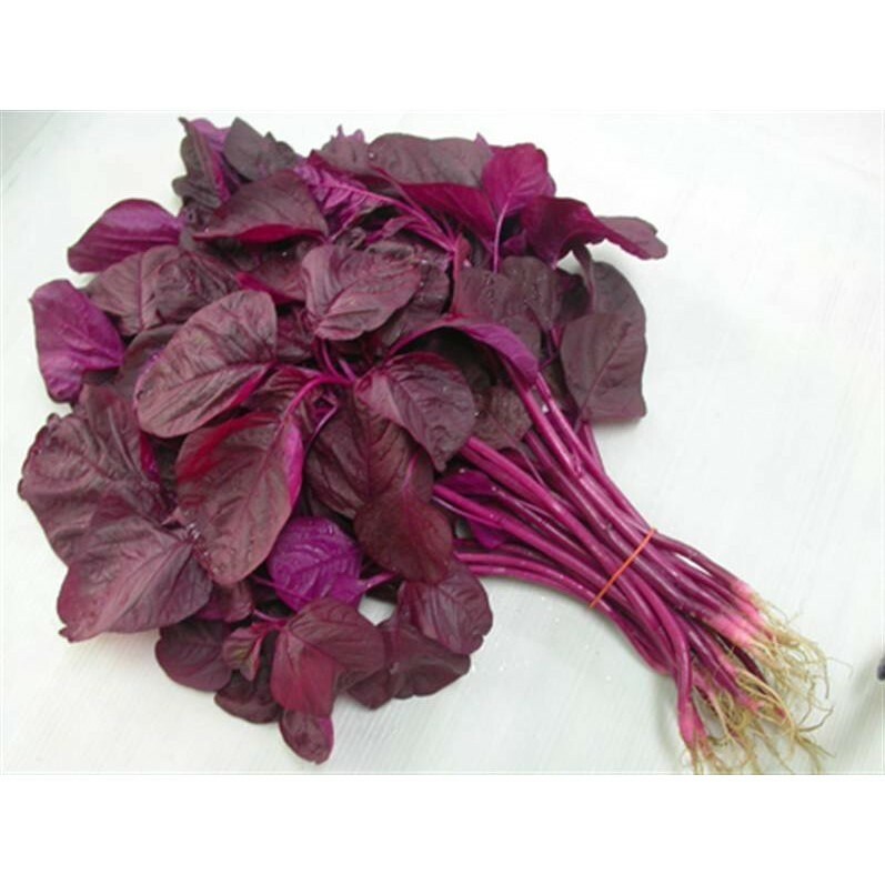 2000+PCS RED SPINACH/ RED AMARANTH SEEDS/ RAU DỀN ĐỎ | 90% GERMINATION |