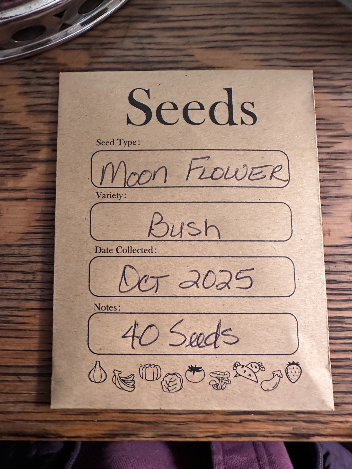 Moonflower – White Datura 40 organic Seeds Harvested October 2025
