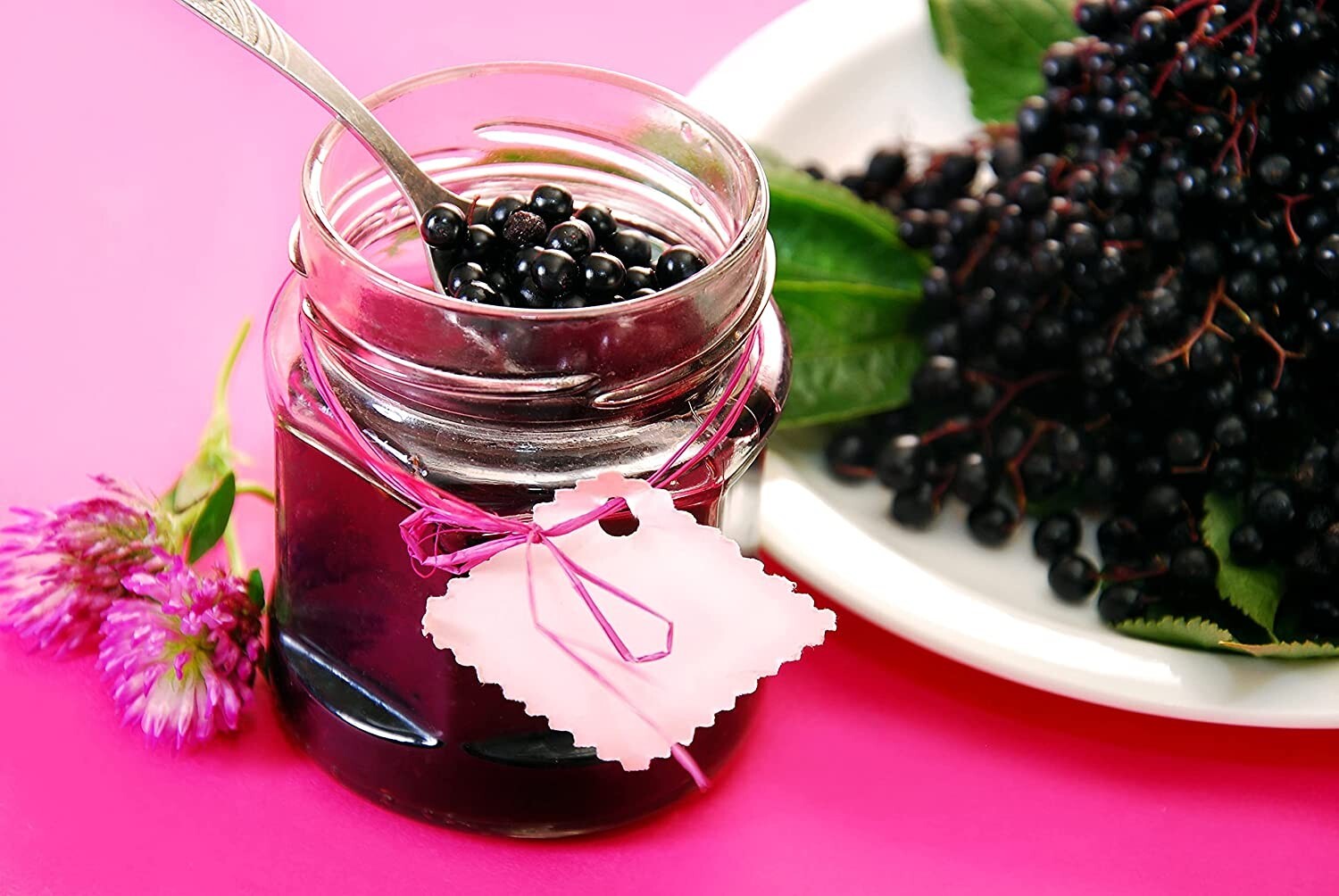 175 Elderberry Seeds, USA Seller Free Shipping Fruit Seeds Fragrant