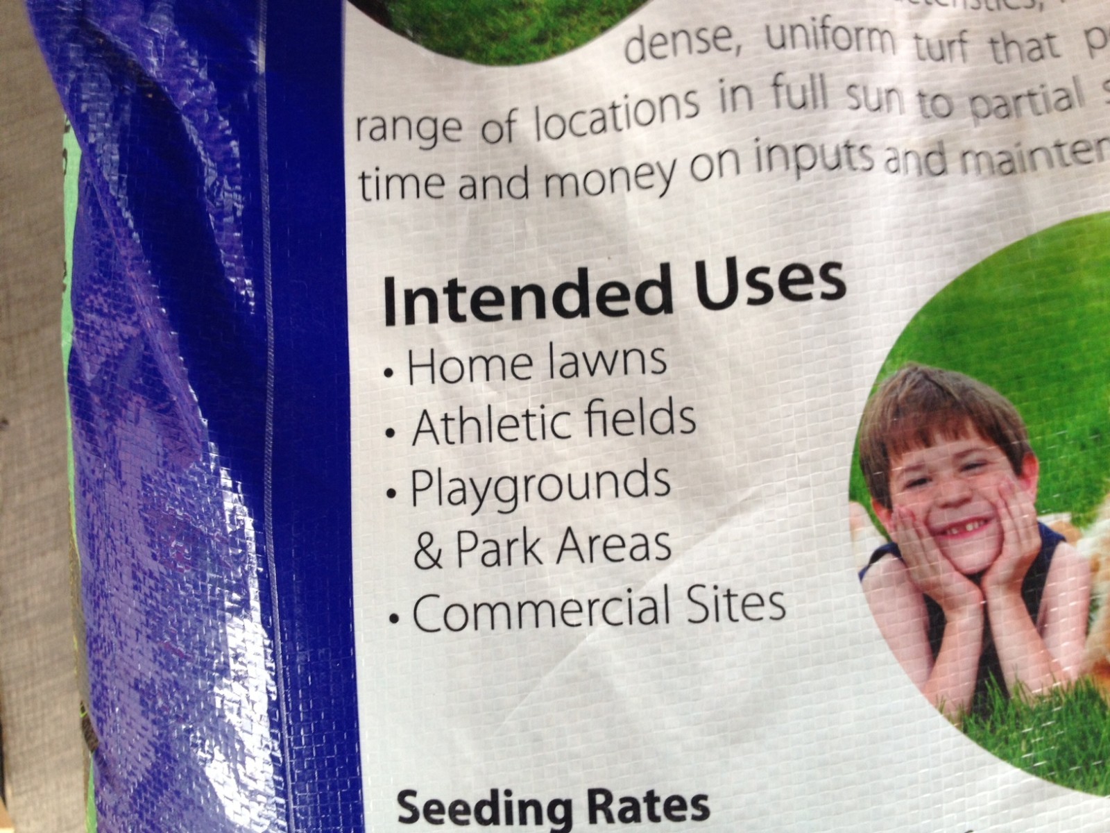1 lb Falcons Tall Turf Fescue-A Three Falcon Blend Best Lawn Grass There Is