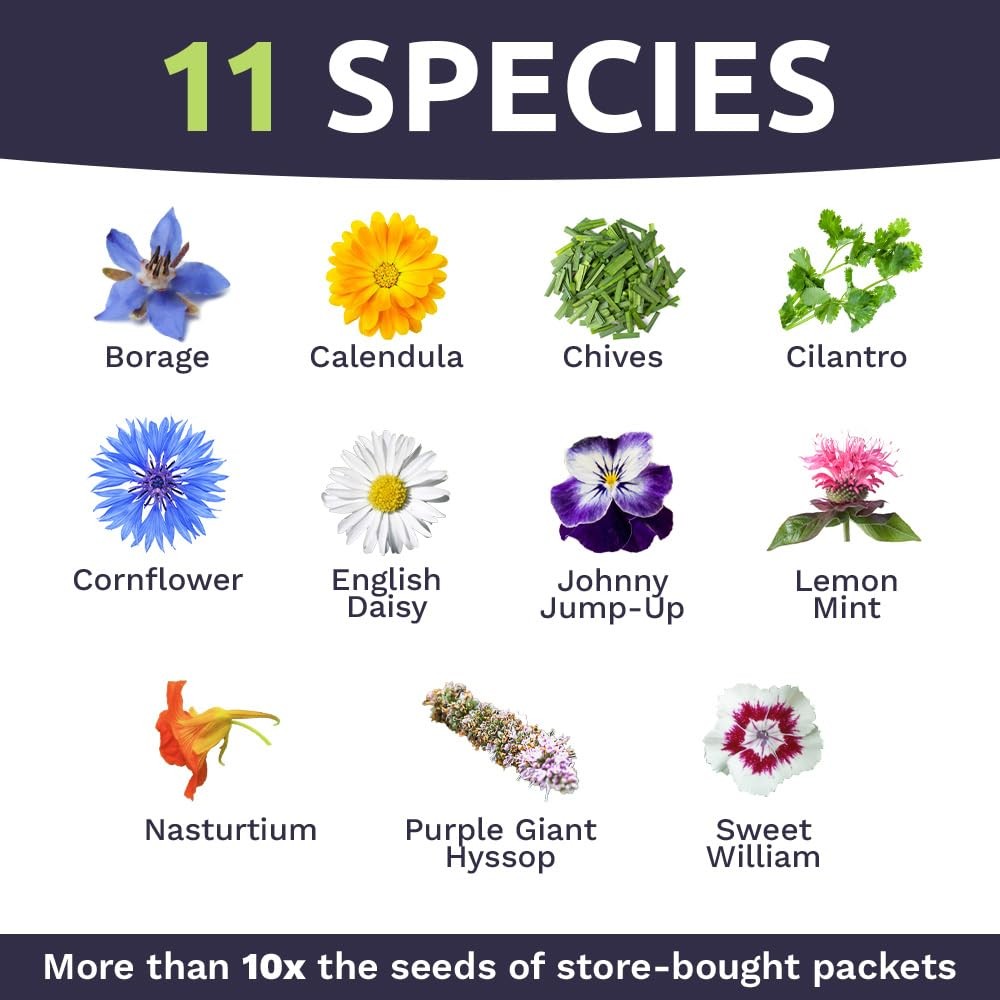 Wildflower Seeds Edible Flowers Mix 1 Ounce, 7000 Open Pollinated Annual Peren