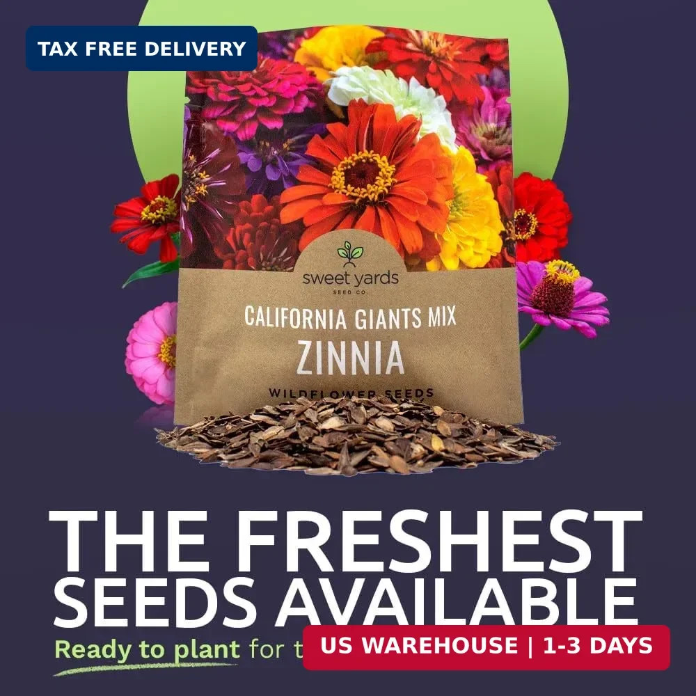 Zinnia Seeds – California Giants Mix – Large 1 Ounce Packet – 3,000 Flower Seeds