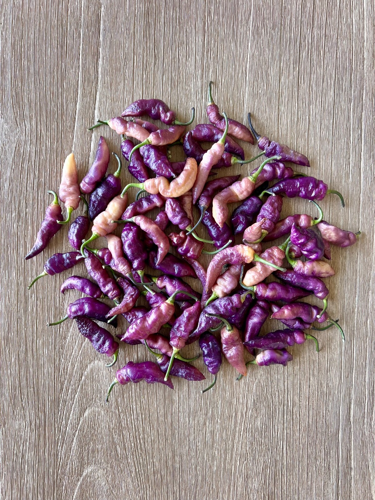 Pink Tiger Purple Pepper Seeds – Superhot Pepper Seeds