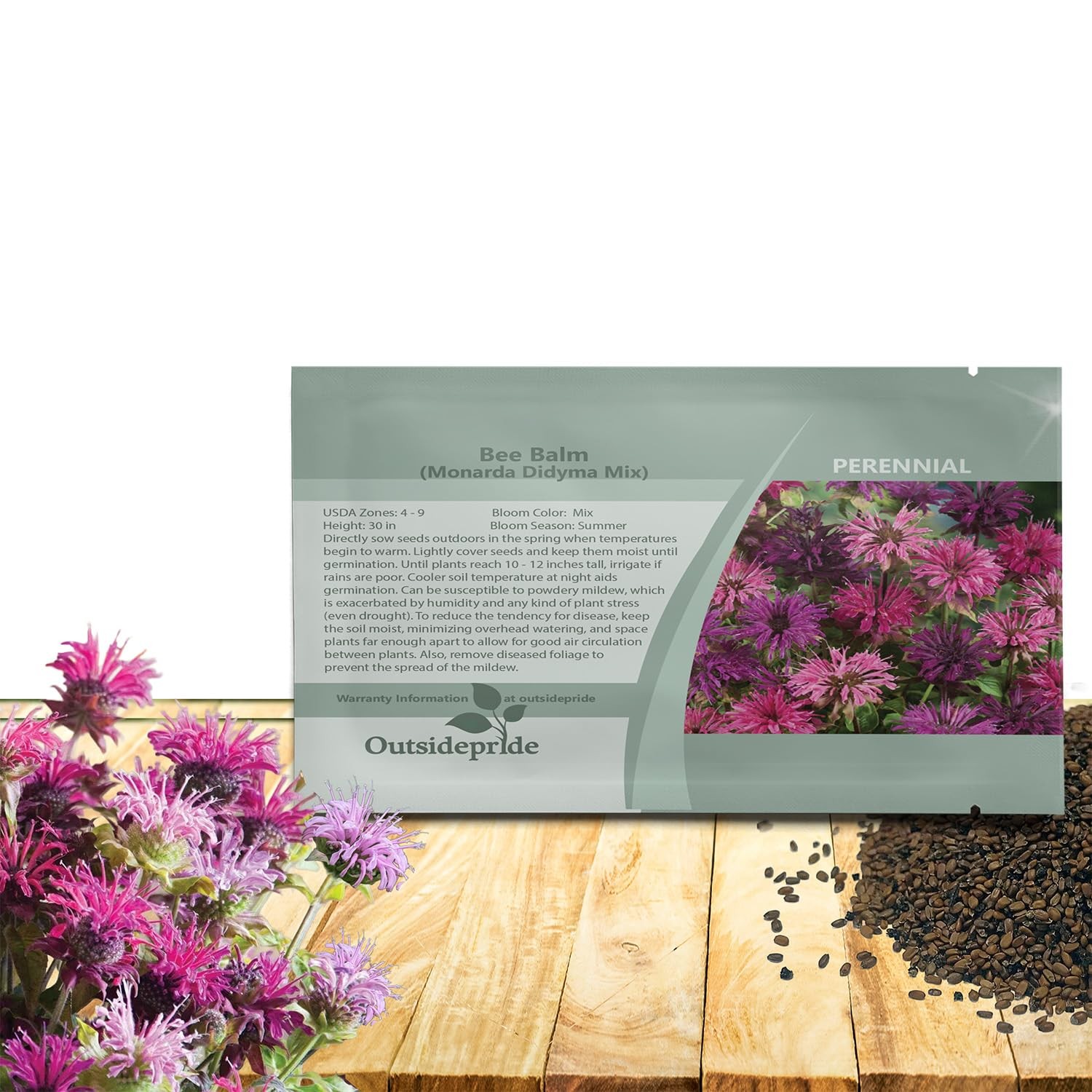 Outsidepride Bee Balm Mix Seeds 500 Pcs Perennial, Easy to Grow & Pollinator…