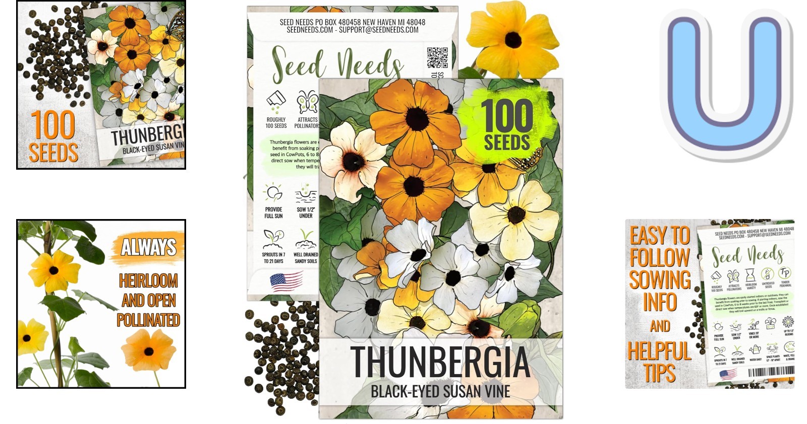 100 Pack of Black-Eyed Susan Seeds – Gorgeous Climbing Vines for Privacy