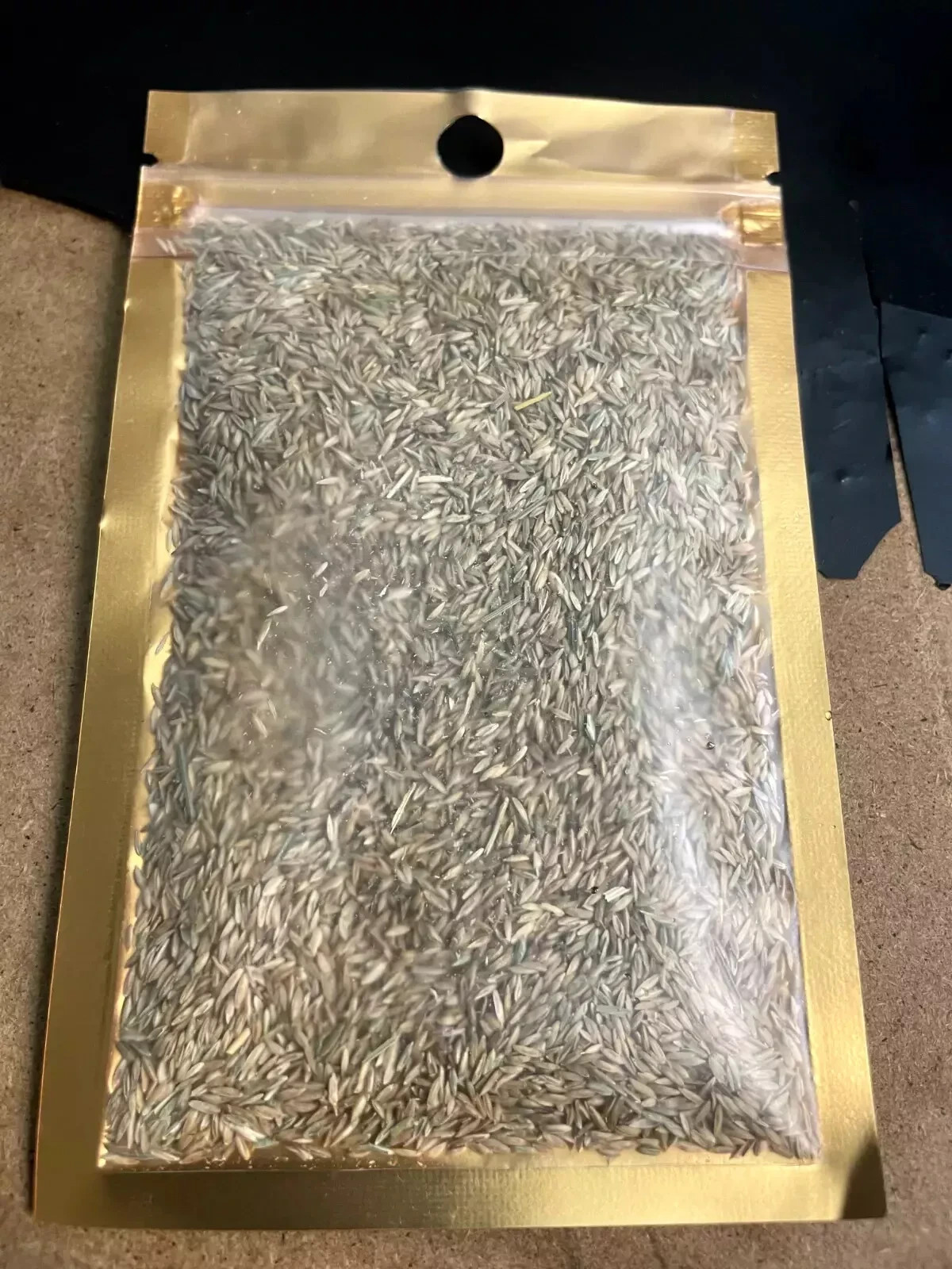 (2 Pack) Zenith Zoysia Grass Seed – More Than 10,000 Seeds! for Lush Lawn Growth