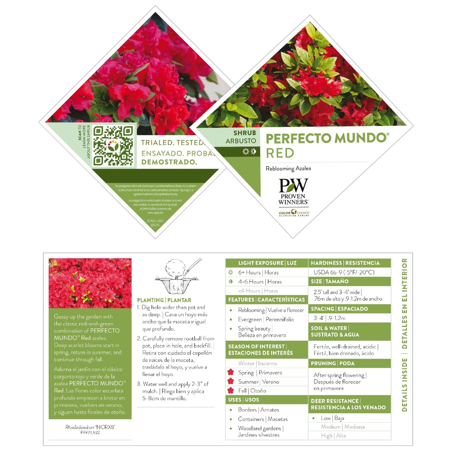 Proven Winners 2 Gal. Perfecto Mundo Red Azalea Shrub