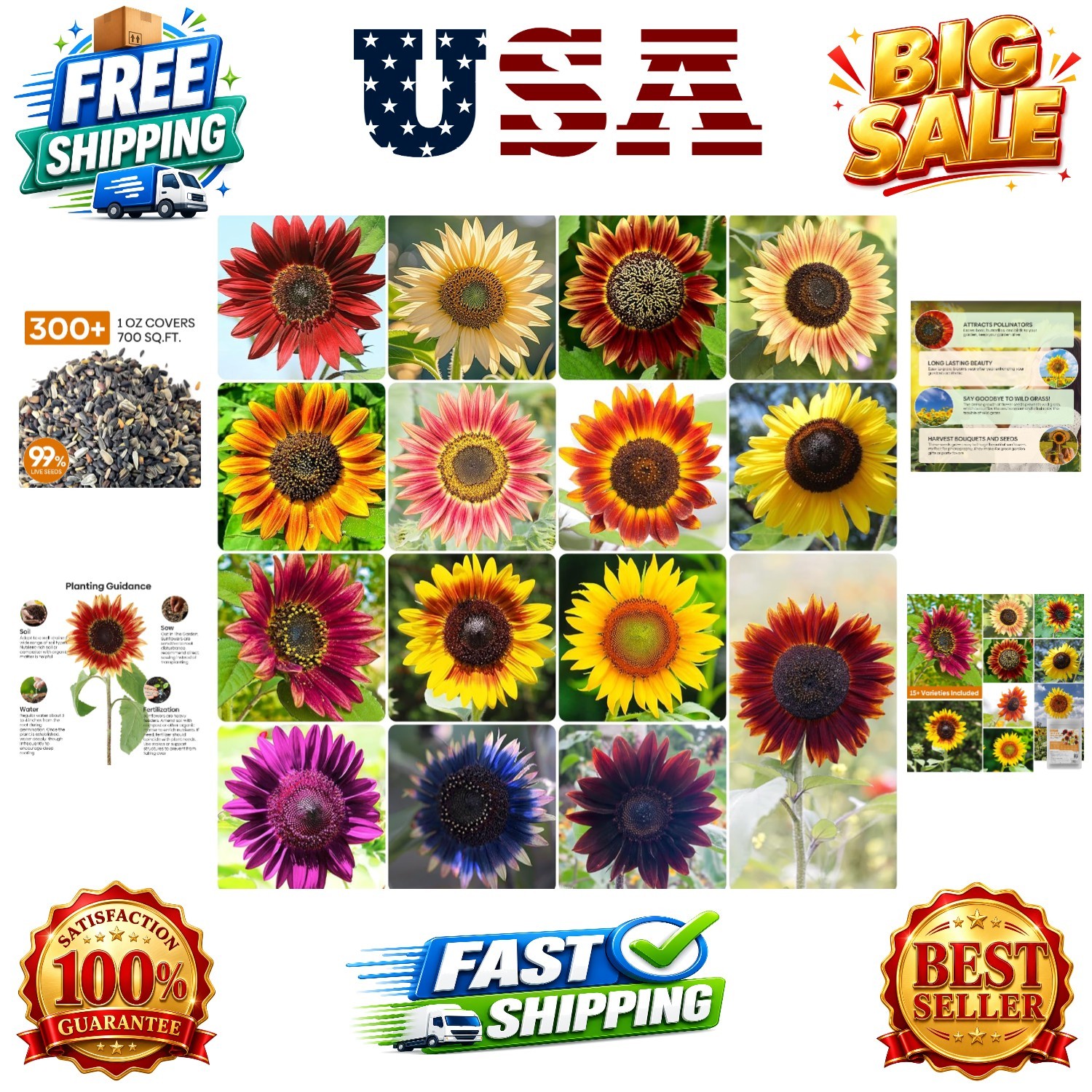 Sunflower Seeds for Planting, 15+ Varieties, 1 Oz, 300+ Mixed Seeds to Plant …