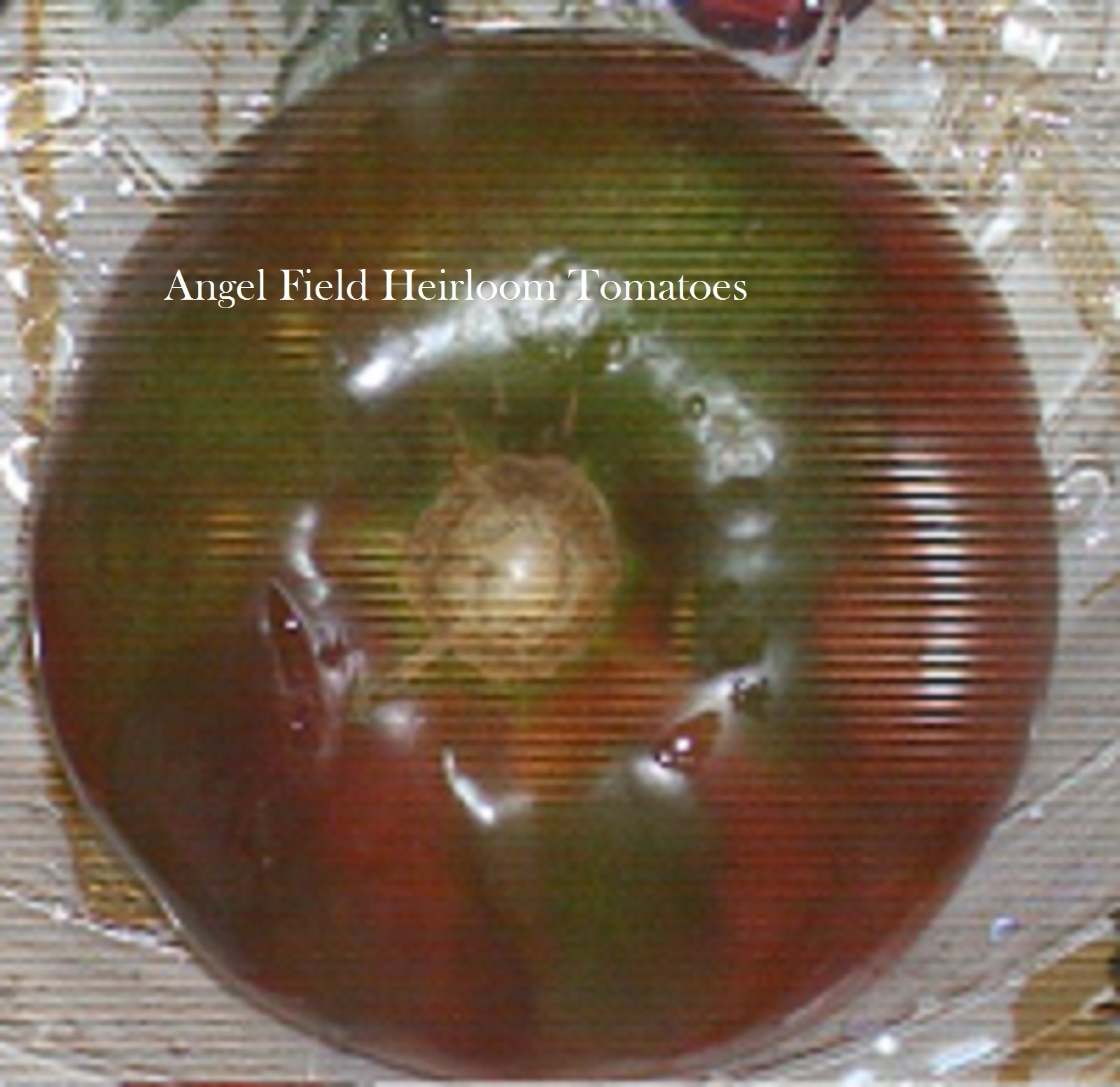 20 Pierce’s Pride Purple Heirloom Tomato Seeds ” Plus 2 Packs of Vegetable Seeds