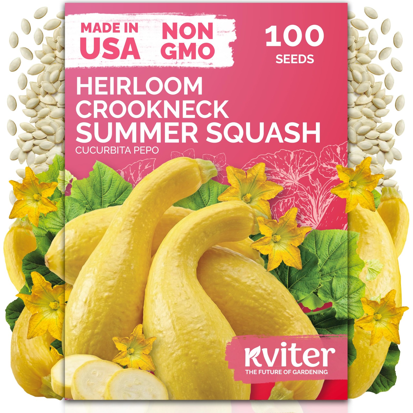 KVITER 100 Crookneck Summer Squash Seeds (Cucurbita pepo)
