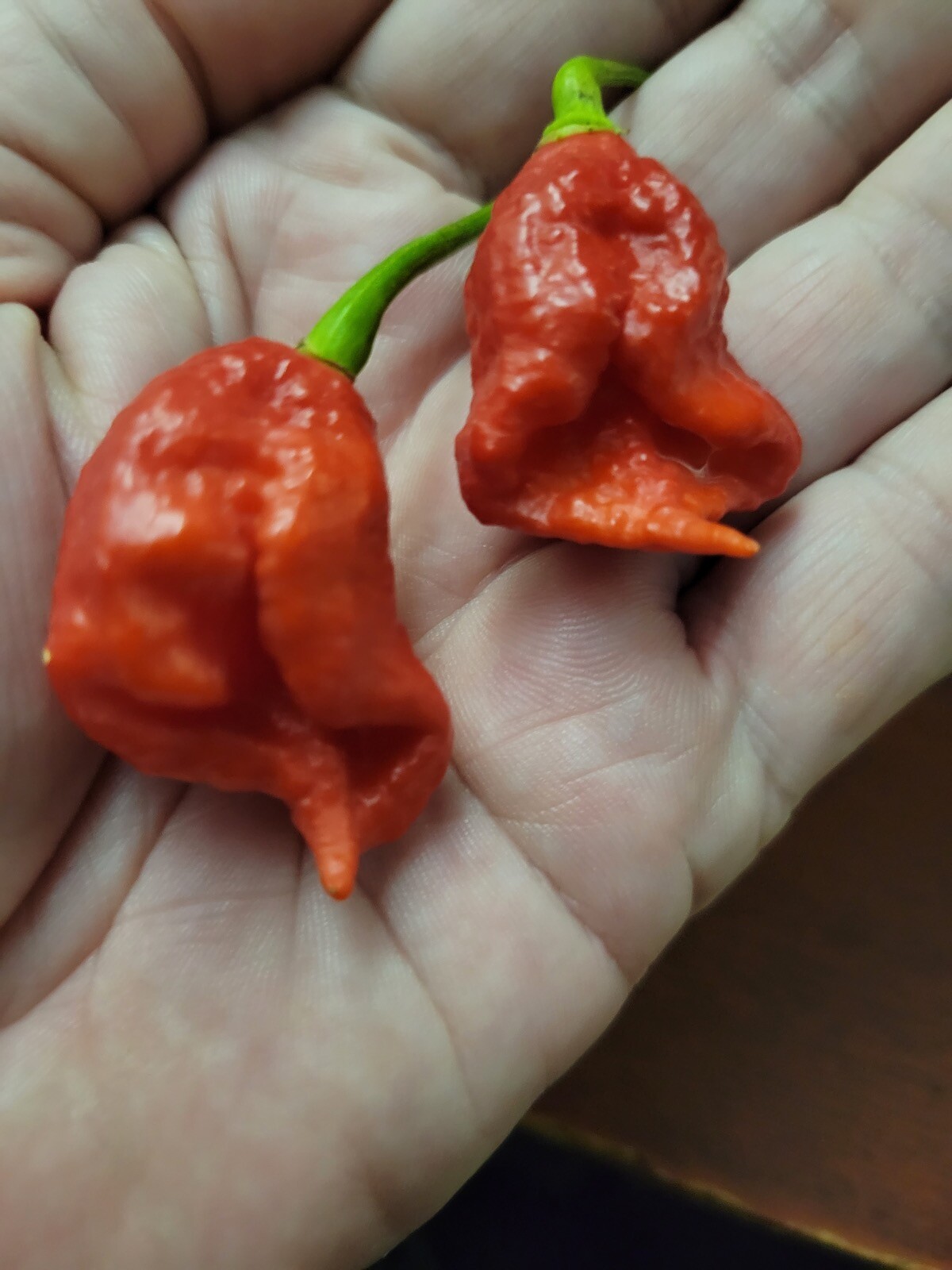 25+ Carolina Reaper Seeds – Heirloom – Organic – USA Seller