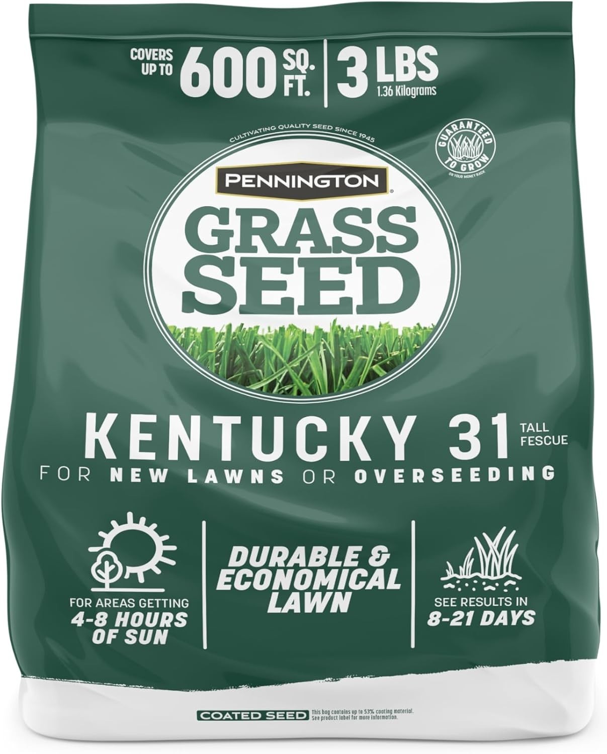 Durable Kentucky 31 Tall Fescue Grass Seed – 3 LB Fast-Growing Drought Resistant