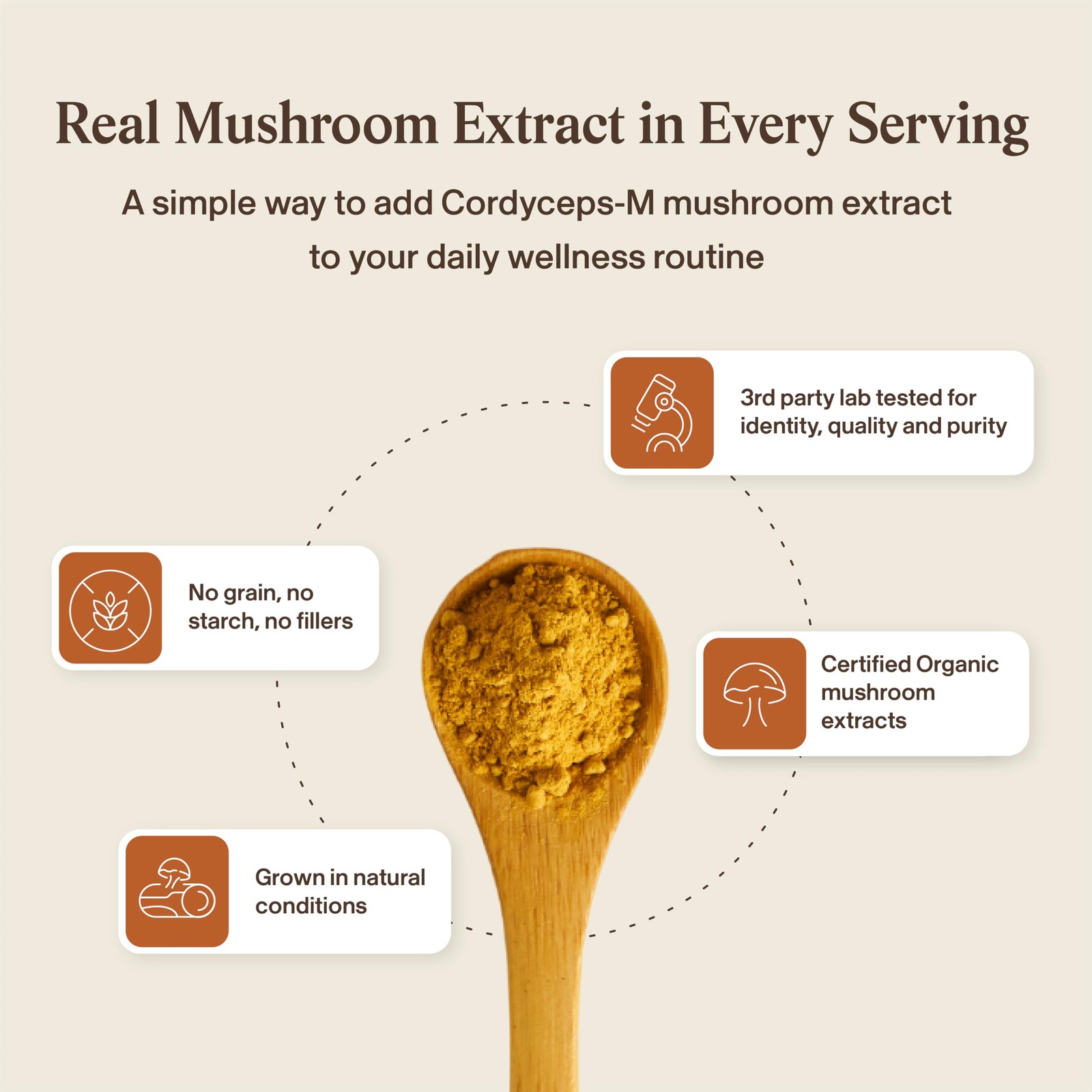 Real Mushrooms Supplement Capsules – Cordyceps 120 Count (Pack of 1), Orange