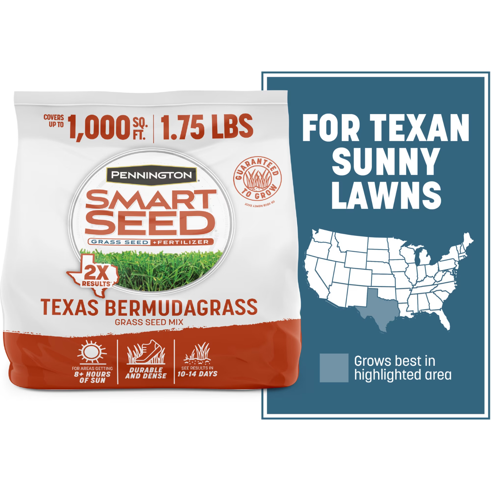 (3 Pack) Pennington Smart Seed Texas Bermuda Grass Seed 1.75 lb Full Sun Lawn