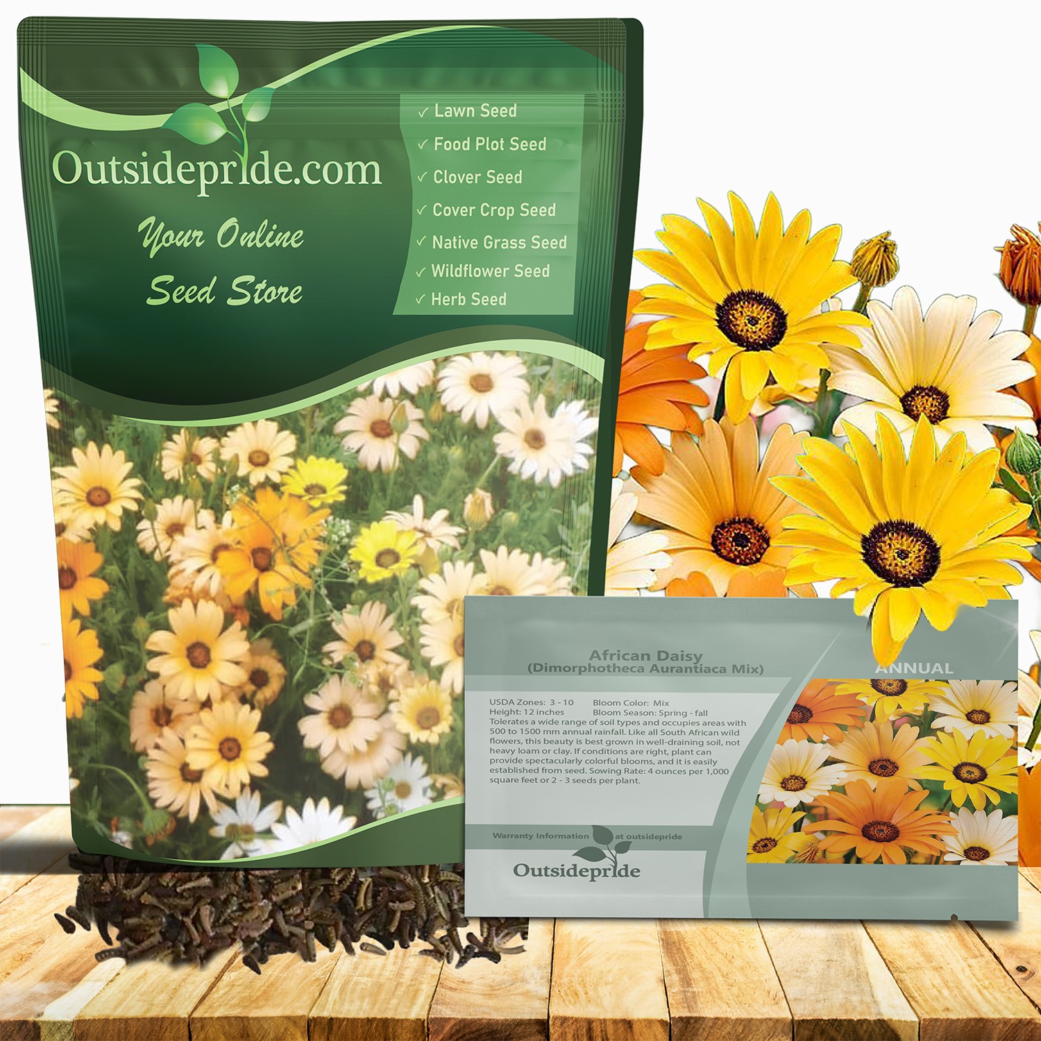 5000 Seeds African Daisy Seed Mix For Planting – Wild Flower Seeds For