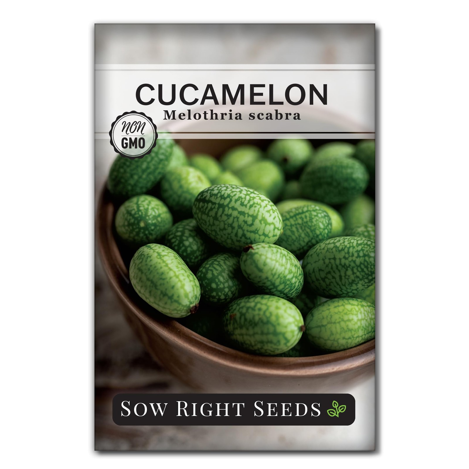 Sow Right Seeds – Cucamelon for Planting – Non-GMO Heirloom Green