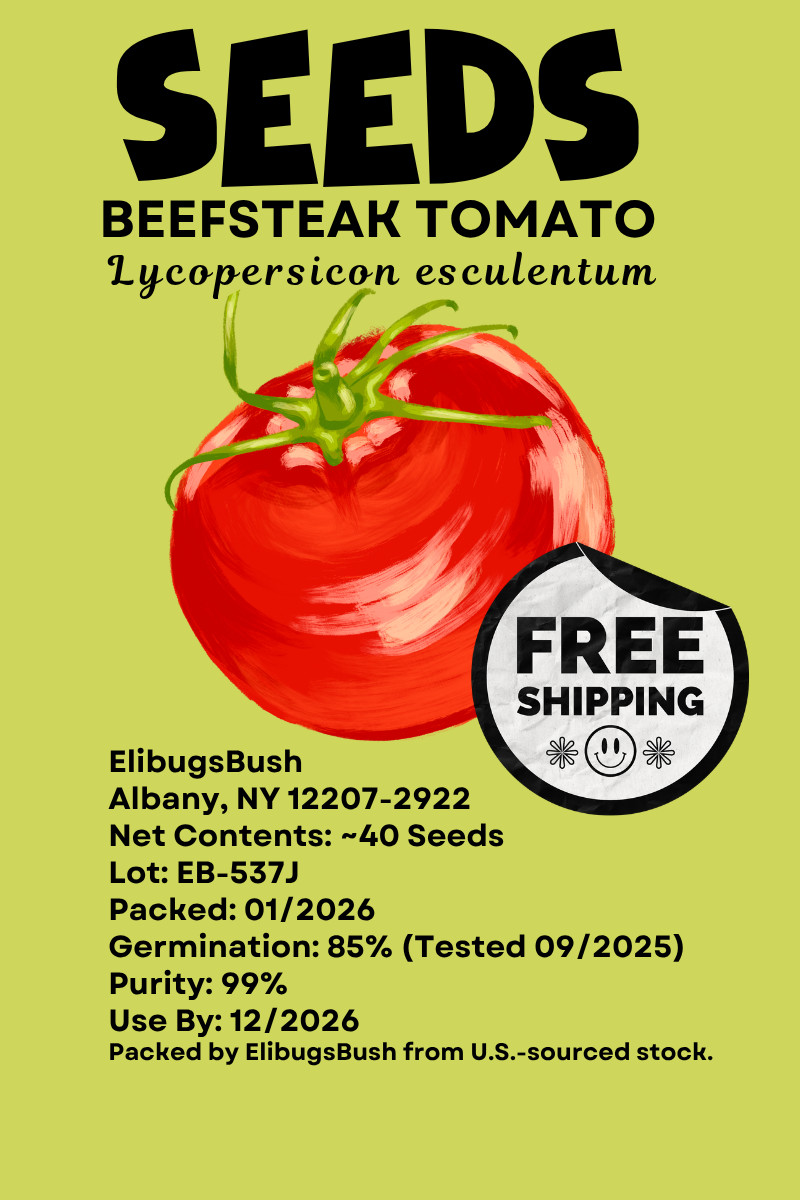 40-500 Bulk Beefsteak Tomato Seeds Free Shipping USA “Lycopersicon esculentum”