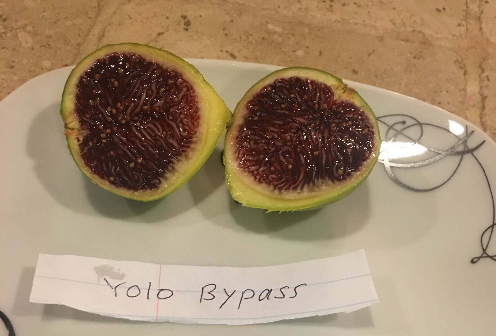Yolo Bypass Fig (TP-FG-0004) (Two cuttings)