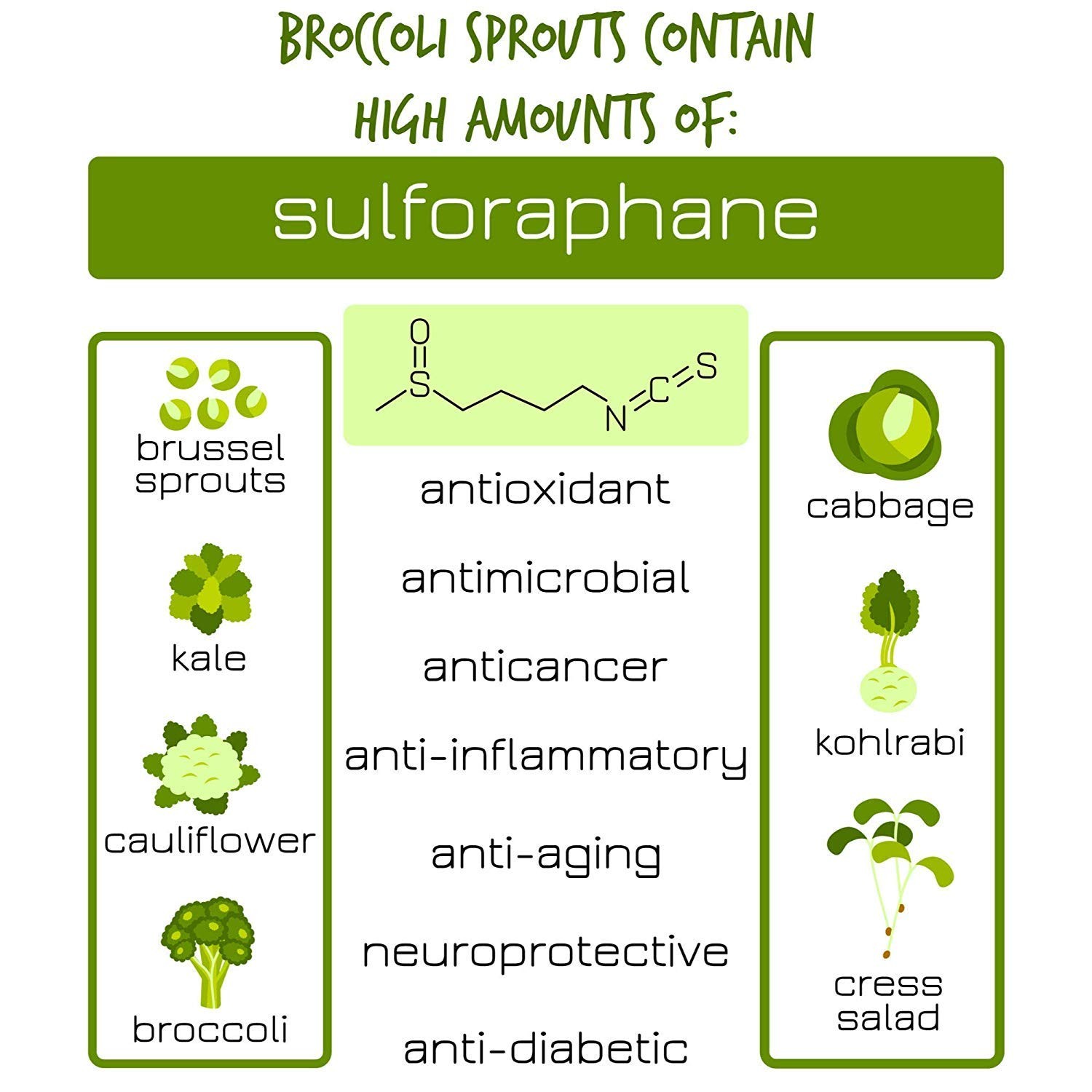 Organic Broccoli Sprouting Seeds 8 Oz High Sulforaphane Superfood Non Gmo