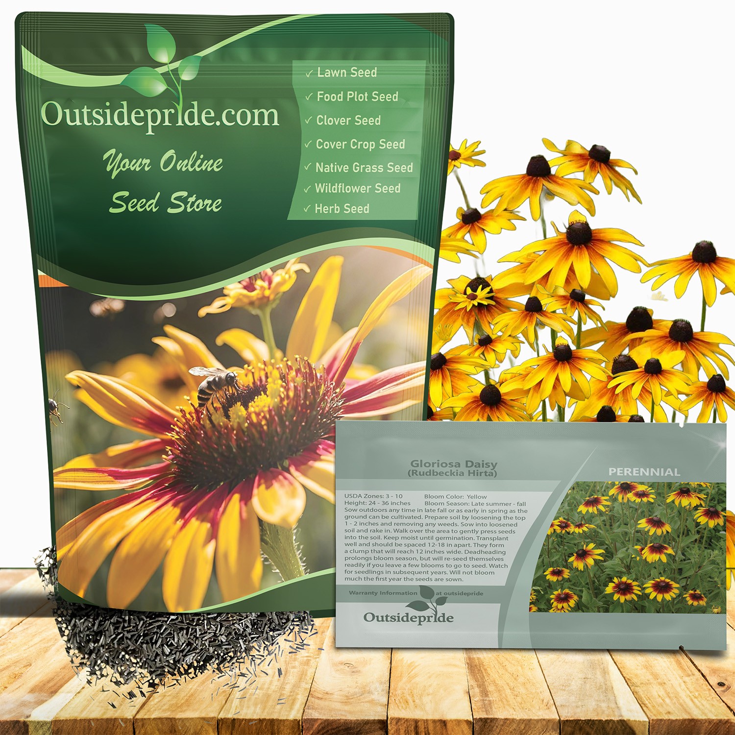 5000 Seeds Rudbeckia Hirta Seeds Gloriosa Daisy Drought Tolerant Wildflower Seed