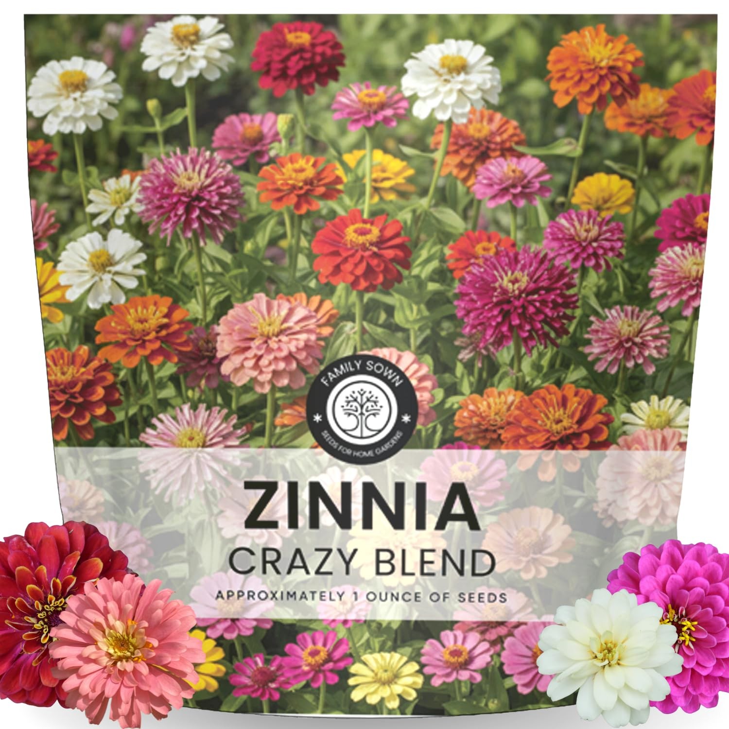 Zinnia Seeds Crazy Blend – 4,000 Vibrant Seeds – 1 Ounce Pouch – Easy to Grow