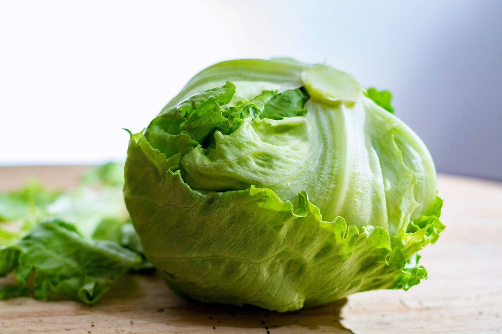 1000 GREAT LAKES LETTUCE Batavian ICEBERG Lactuca Sativa Vegetable Seeds *CombSH