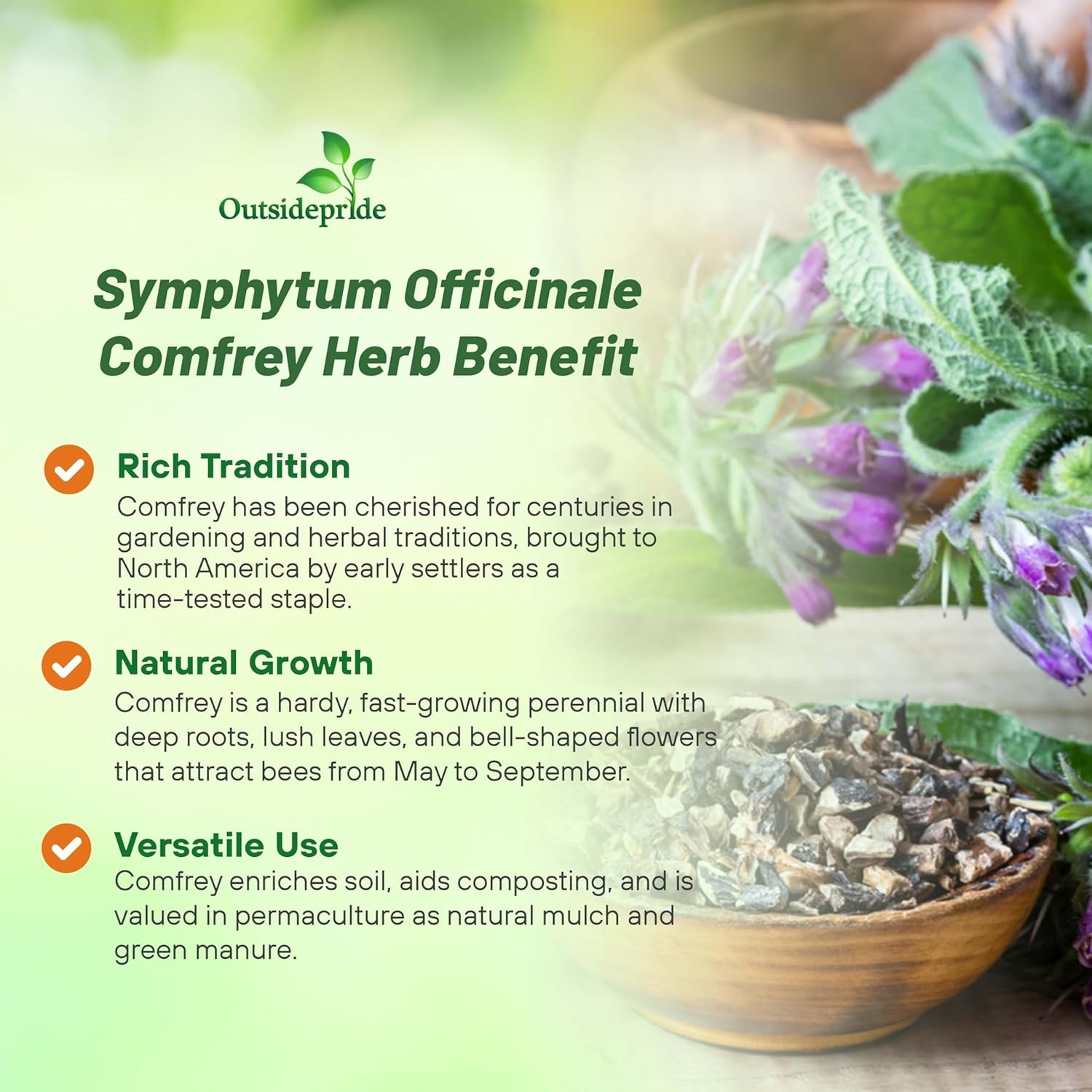 200 Seeds Symphytum Officinale Comfrey Herb Garden Plant Seeds For Planting