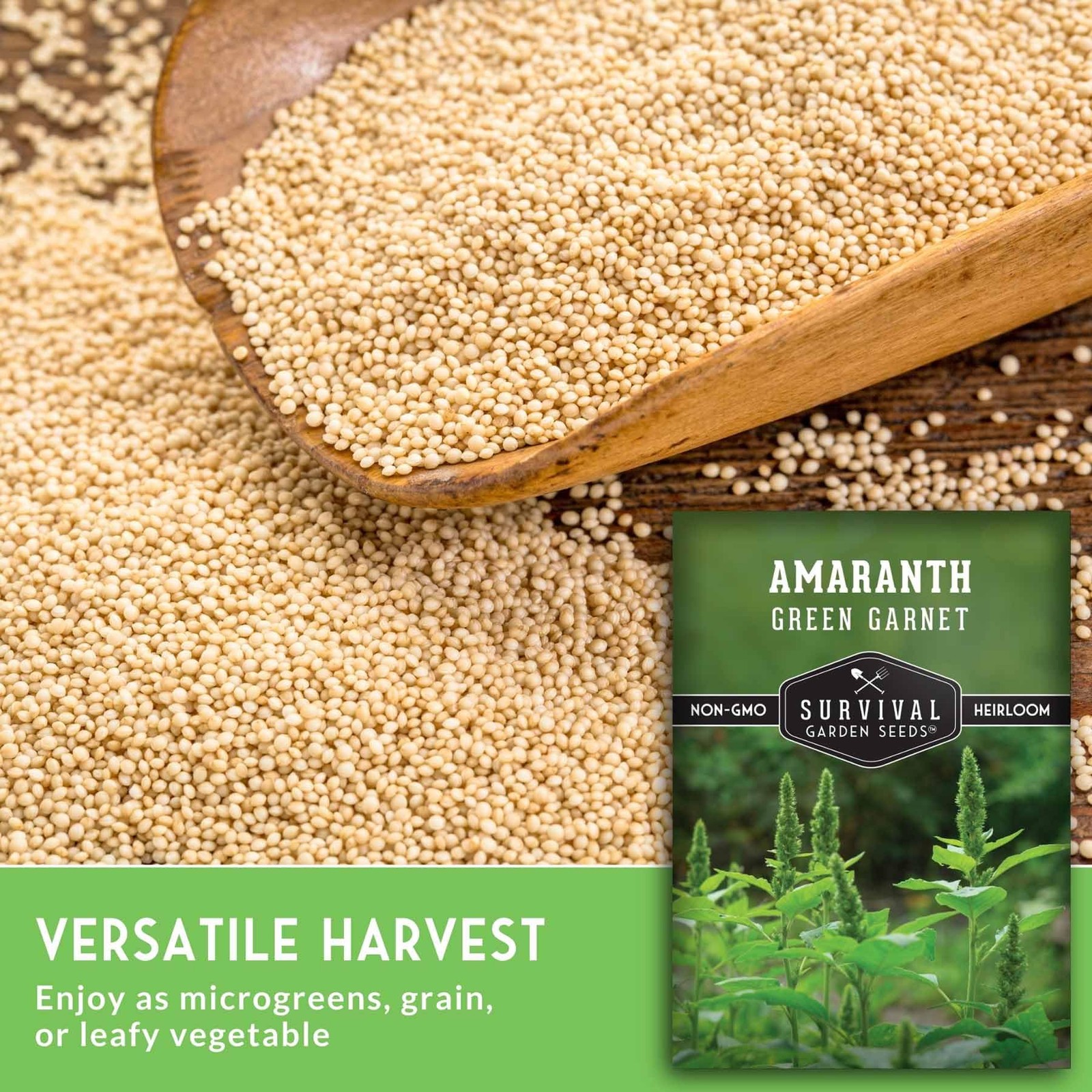 Green Garnet Amaranth Seeds for Planting – Callaloo Leafy Greens green, red