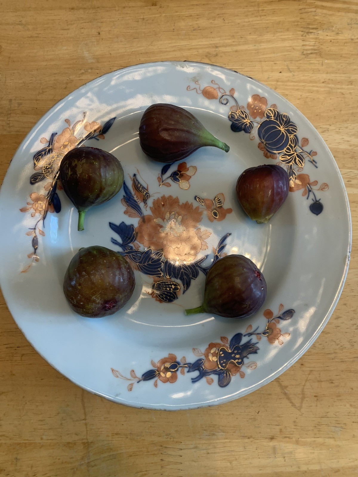 Two Fig Trees