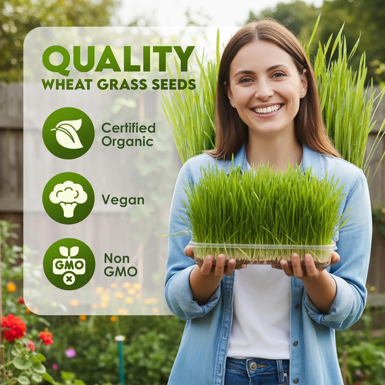 Nutrient-Rich Organic Wheat Grass Seeds – Resealable 16oz Bag for Indoor Growing