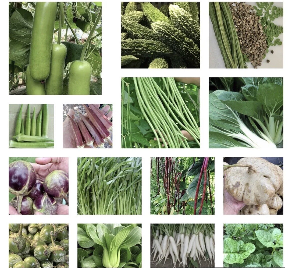 20 Packets Asian Vegetable SEEDS. NON GMO. Oriental Vegetable Seeds for Planting