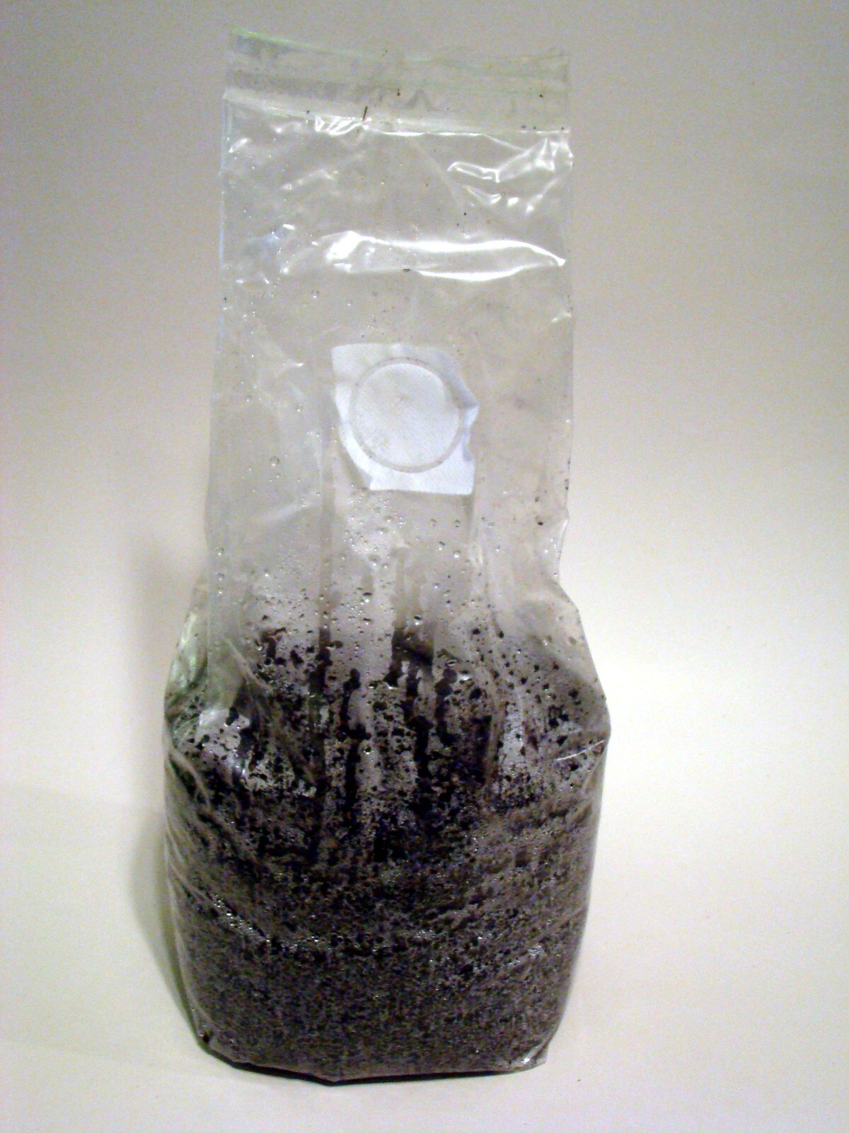 11 LBS Mushroom Bulk Substrate Dung Lovers Blend – Pasteurized – 1 GALLON Approx