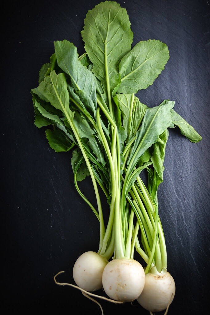 1/8-oz 1400 HAKUREI Japanese Hybrid Turnip seeds; a.k.a. SALAD TURNIP 白嶺蕪菁かぶ