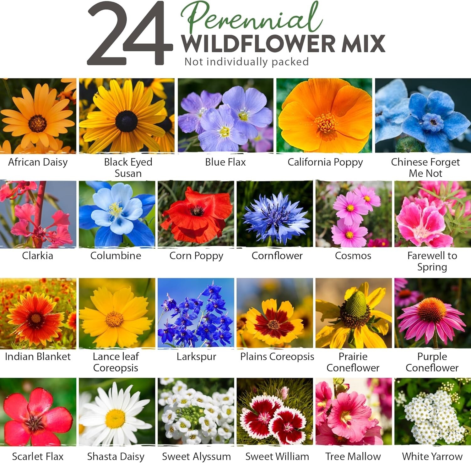 90,000 Non-GMO Wildflower Seeds 3oz Mix for Attracting Pollinators, Grow Beau…