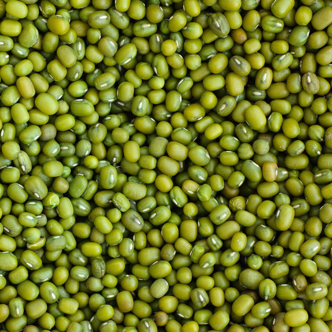 Fresh Green Gram Seeds | Moong | Mung Bean | Heirloom Non-GMO | Asian Vegetables
