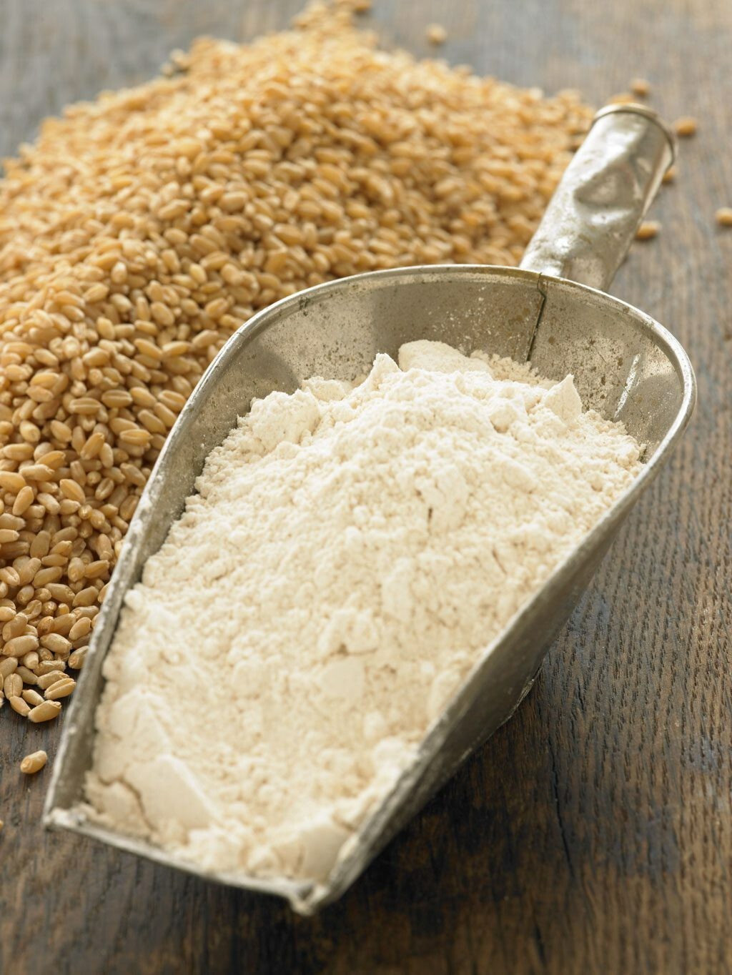 HARD WHITE WHEAT – GRAIN SEEDS – for Making Indian Roti ( Tortilla) 20lb