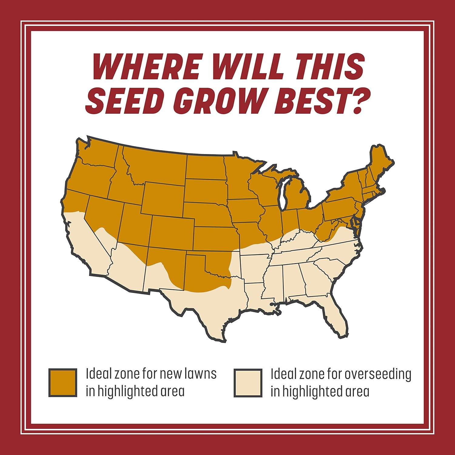 Pennington Smart Seed Perennial Rye 3 Lb, Perennial Ryegrass Seed