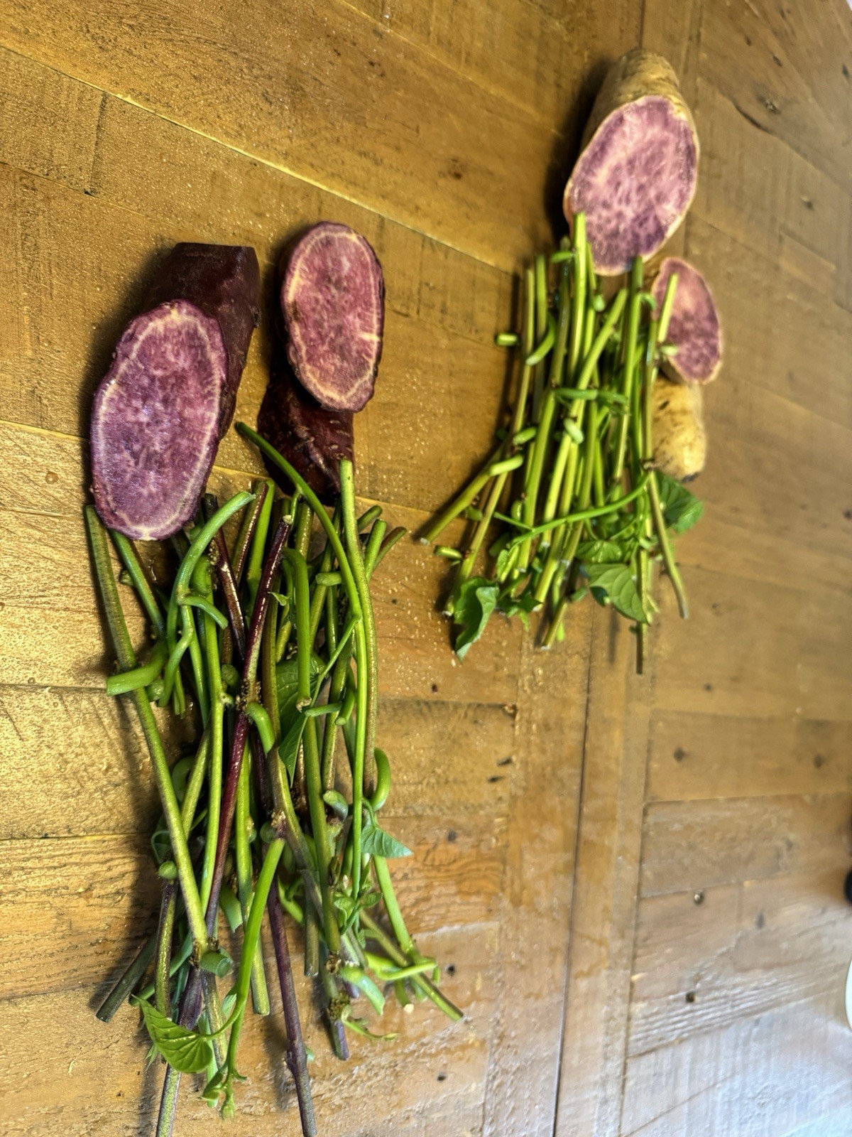 2 Varsities: 20 Molokai And 20 Okinawa Japan Sweet Purple Potato Slip Cuttings