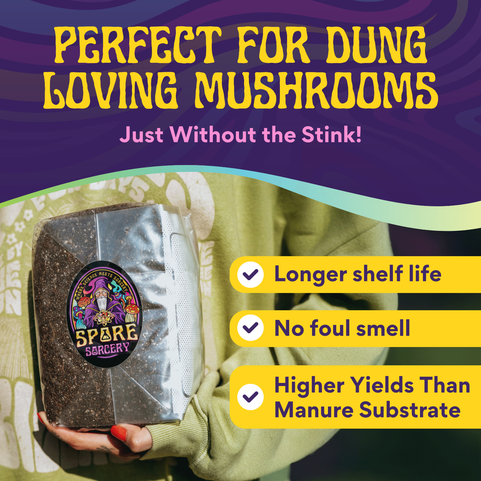 6lbs All-in-One Mushroom Grow Kit in a Bag | HUGE FLUSHES | Easy to Use