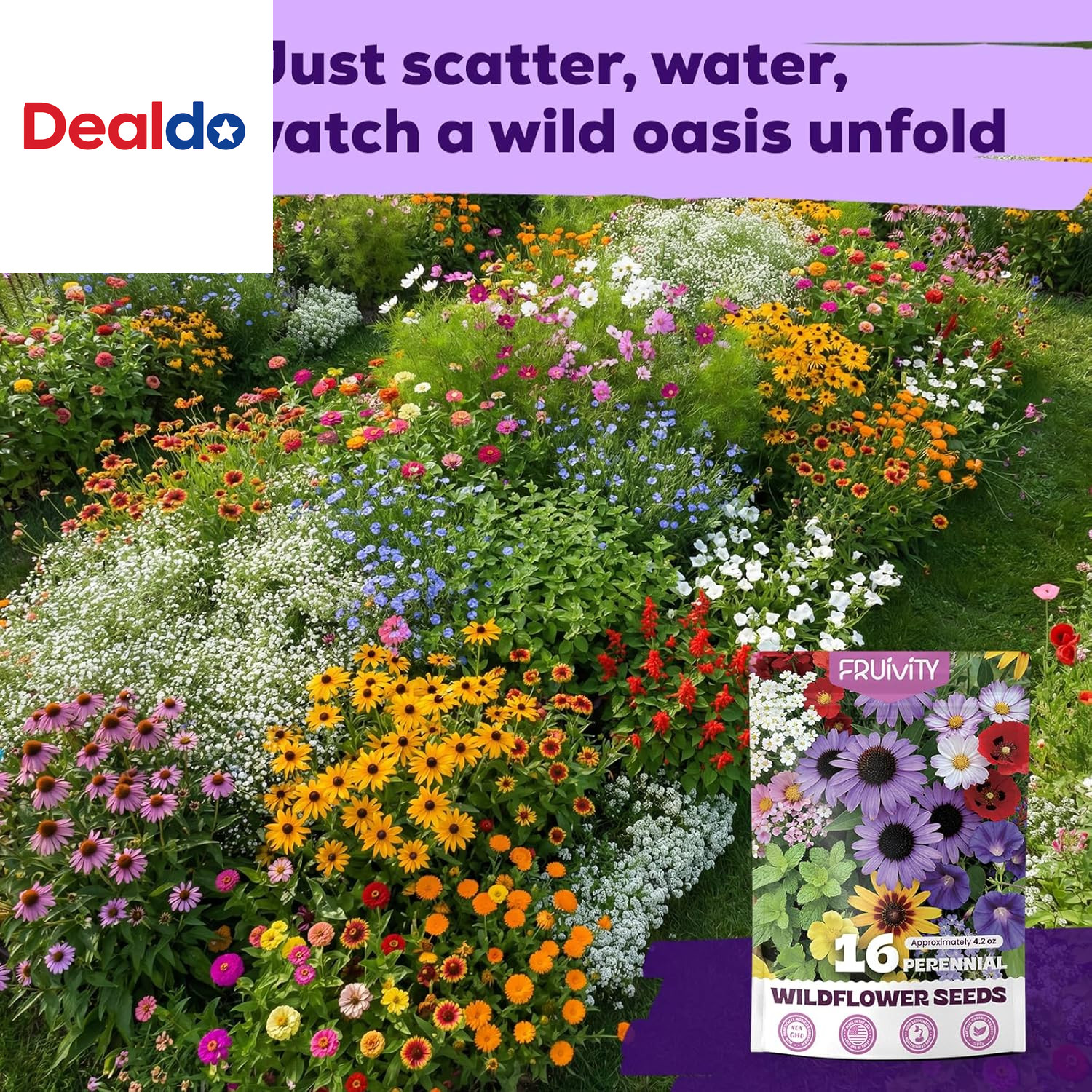 200,000+ Wildflower Seeds Bulk (4Oz) – 16 Varieties Perennial & Annual Mix, Non-