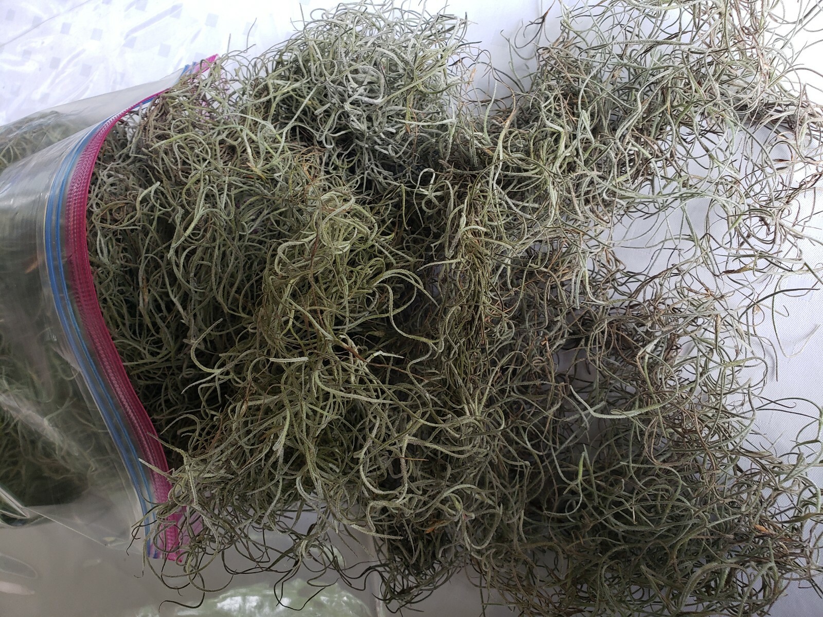 Louisiana Spanish Moss- ONE Gallon bag- From The Tree To Thee- floral decoration