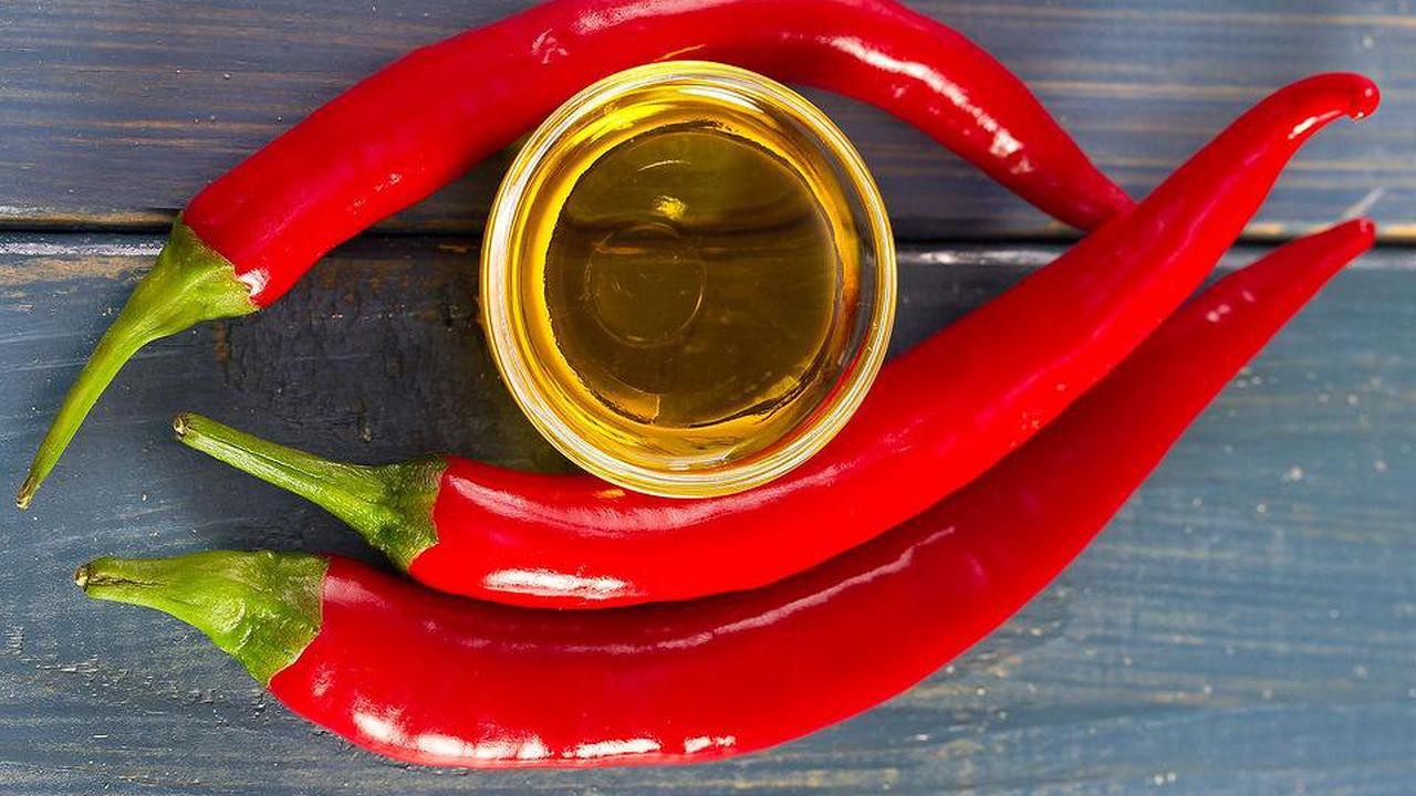 Large Red Thick Cayenne Pepper Seeds | USA Hot Chili Chile Vegetable Seed 2024